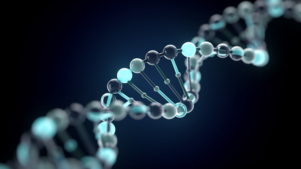 Peptide Therapy preview — Physician-selected peptide protocols, sourced and supervised end to end.
